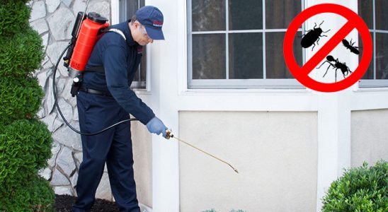 Ulubey Fare İlaçlama böcek ilaçlama ve haşere kontrolü — ilaclama-tr.com
